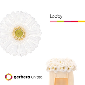 Ge Mi Lobby