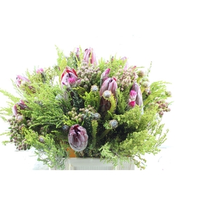 Protea Boeket