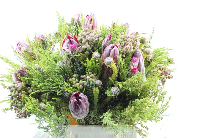 <h4>Protea Boeket</h4>