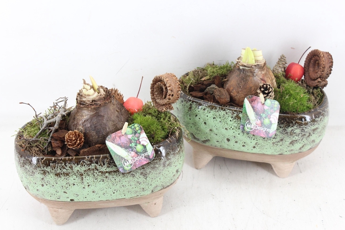 arr4 Amaryllis MB - Luxe ovaal pootjes x4 red