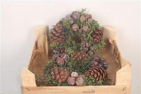 <h4>Krans Adv Cone Mix 1 20cm</h4>