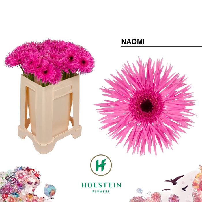 <h4>GE GS GERSP NAOMI</h4>