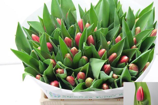 <h4>TU EN OUTFIT</h4>