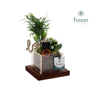 Acryl bakje LED met Arrangement Love