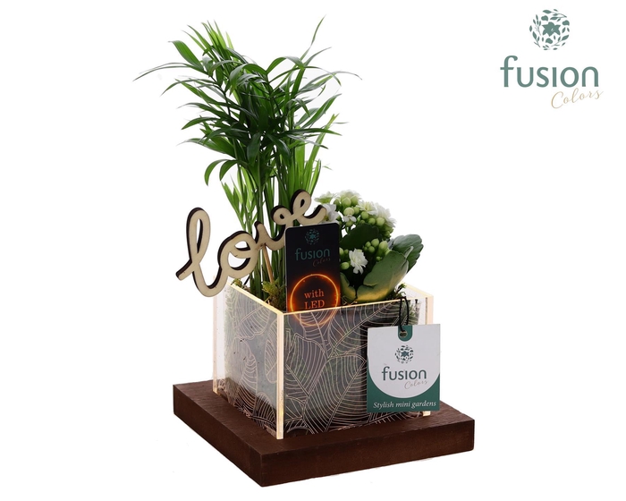 <h4>Acryl bakje LED met Arrangement Love</h4>