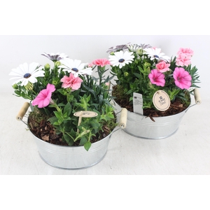 arr4 Outdoor PL - Zink teil oor zilver