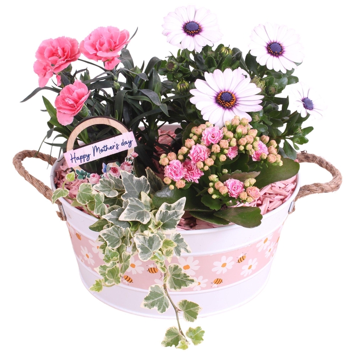 <h4>Mothersday Arr. Outdoor Zinc White with Flowers & Bees Ø24cm 4PP</h4>