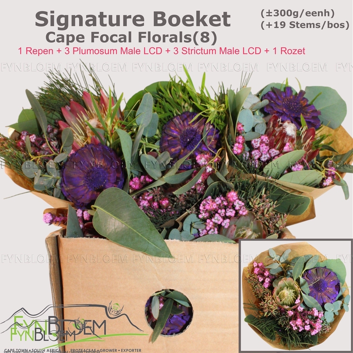 <h4>PROTEA PER BOS</h4>