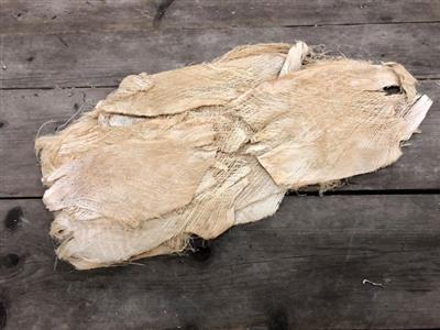 <h4>DROOG PALM BLAKA GEBLEEKT</h4>