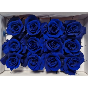 Ro Pres.. Blue (4cm)