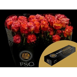 R GR Free Spirit Box