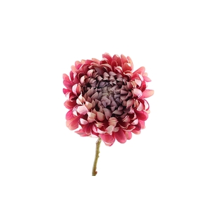Chrysanthemum Mauve Cream FL440197MAU