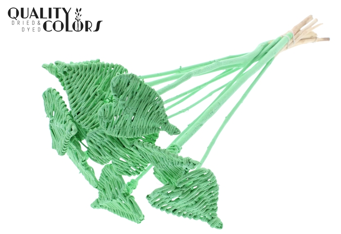 Lata Heart 8cm on stem Hat type Covered Mint Green