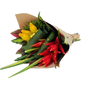 BQ Large Foulard Coccinea EU