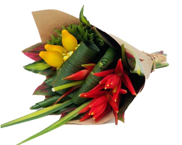 <h4>BQ Large Foulard Coccinea EU</h4>