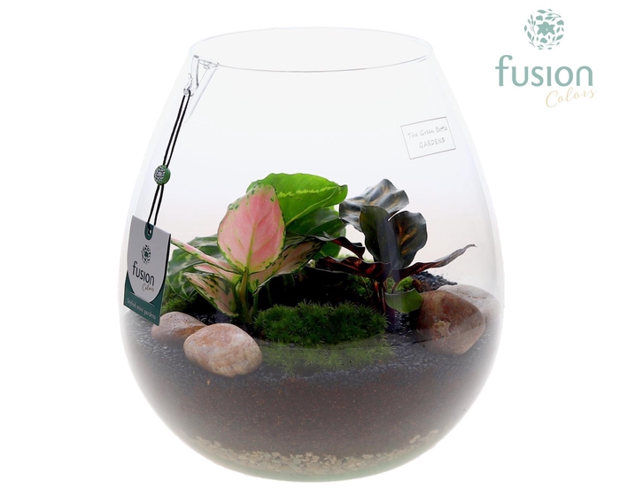 <h4>Green Bottle Abby Large met groene planten</h4>