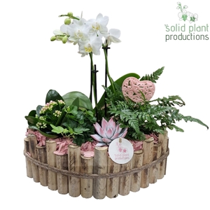 HVPE006 Napoli Large Pink