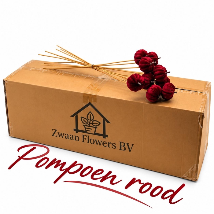 <h4>HUIS EN TUINDECO H%</h4>