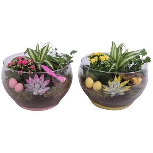 Easter Arr. Indoor Glass Vase Ø25cm 4PP