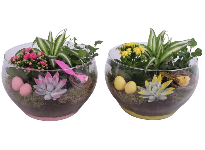 <h4>Easter Arr. Indoor Glass Vase Ø25cm 4PP</h4>