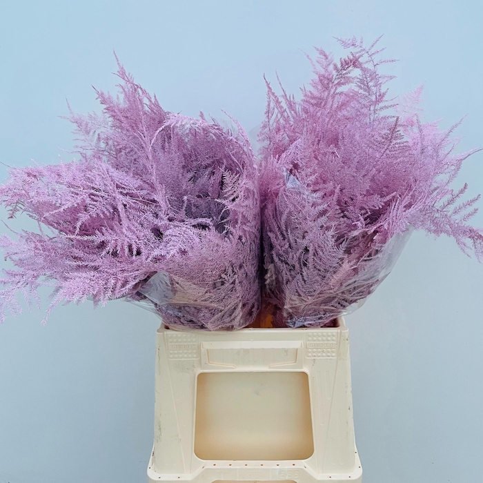 <h4>ASP OV KLB H%</h4>