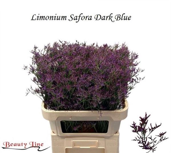 <h4>LIM SAF DARK BLUE</h4>