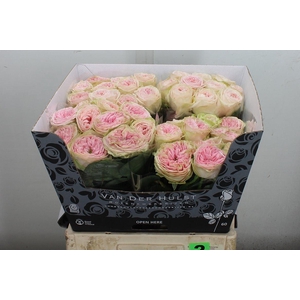 R Gr Bal Summerhouse