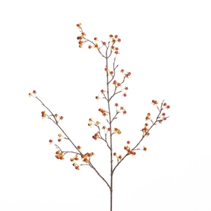 AF Celastrus spr L101cm orange