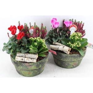 arr4 Outdoor MB - Cement pot 338/3