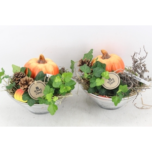 arr2 PL - Glas ribbel schaal poempoen x3