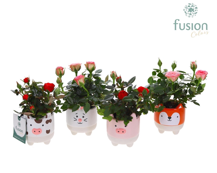 <h4>Keramiek Boerderijdieren met Roos</h4>