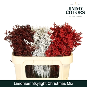 Limonium Skylight L70 Christmas mix