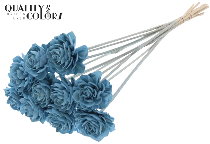 Shola Dahlia 6cm on stem Light Blue