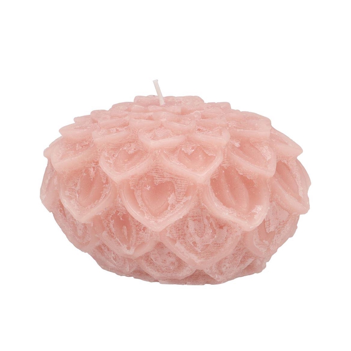 <h4>Candle Dahlia Old Light Pink 15x10cm Nm</h4>