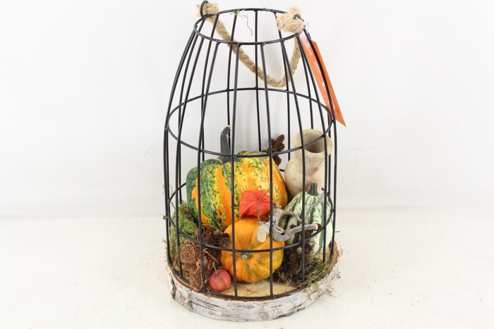 <h4>arr4 Sierfruit MB - Vogelkooi XL</h4>