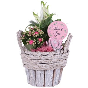 Mothersday Arr. Indoor Wooden White Washed Bark Bucket Ø19cm 3PP