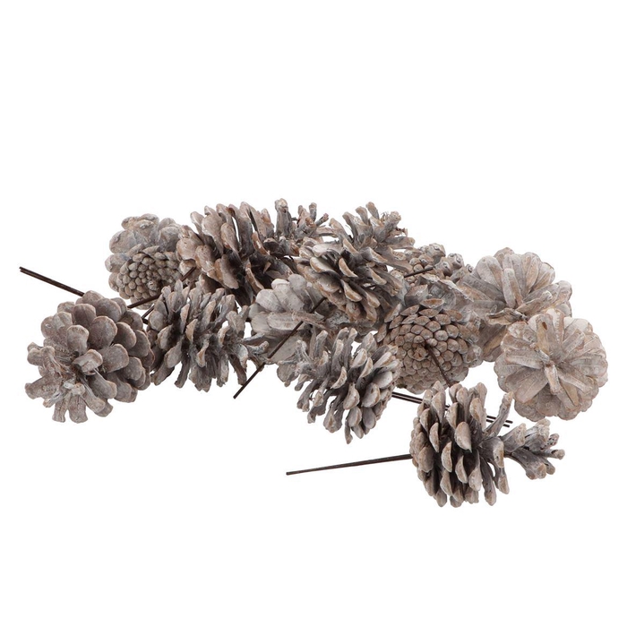 <h4>Pick Nature Austrians Stonewashed P/40</h4>