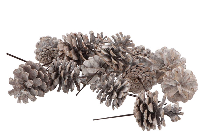 Pick Nature Austrians Stonewashed P/40