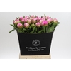 Paeonia Dr A Fleming
