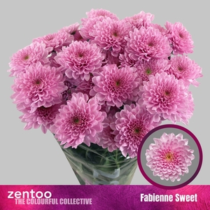 CHR T FABIENNE SWEET