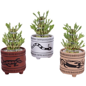 Lucky Bamboo Shape Round 3B Ø14cm Ceramic EV664