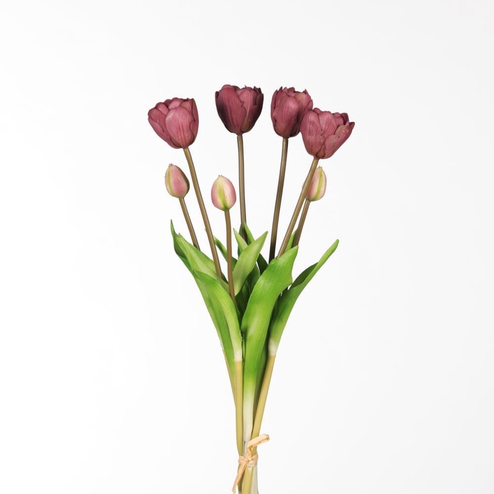 <h4>AF Tulip Db Bnd x7 L44cm Purpl</h4>