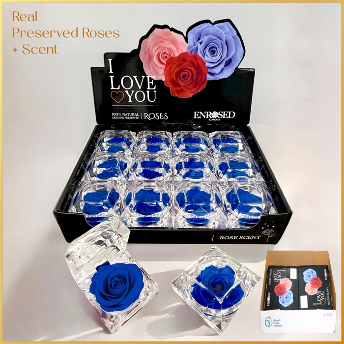 <h4>DIVERSEN H%</h4>