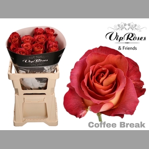 R GR COFFEE BREAK