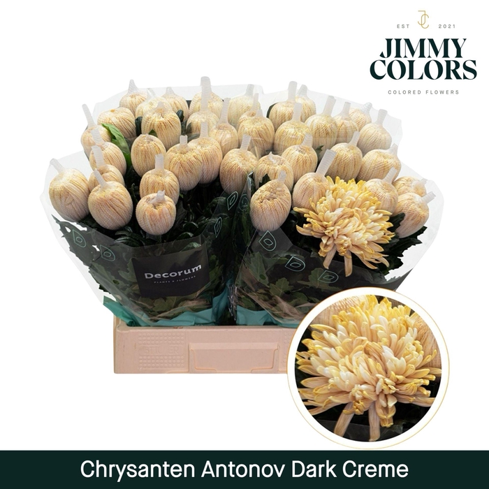 <h4>Chr G Antonov Dark Creme</h4>