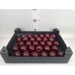 Decoratieve materialen   ...H%