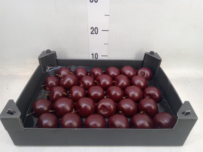 <h4>Decoratieve materialen   ...H%</h4>