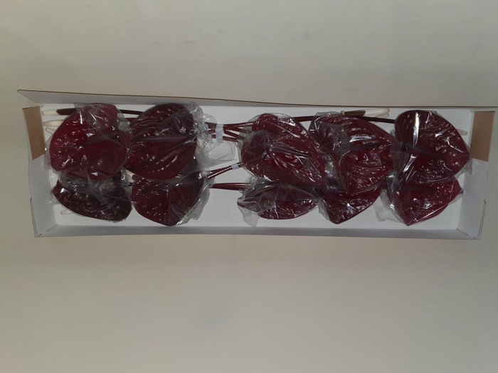 <h4>ANTH A NERO</h4>