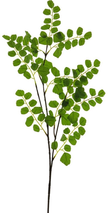 <h4>Acacia leaf spray 90cm green</h4>