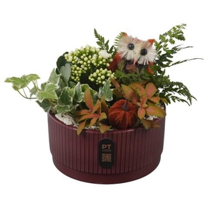 PTHI3220 Arrangement Autumn Indoor in keramiek schaal